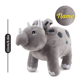 Charger l&#39;image dans la galerie, Name Personalized Dinosaur Stuffed Animal Cute T Rex Plush Toy for Boys Girls Birthday Gifts Gray Triceratops
