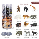 Charger l&#39;image dans la galerie, 12 Pcs Realistic Dinosaur Animal Figures in Tube Educational Toy for Kids Wild Animals