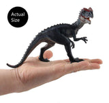 Charger l&#39;image dans la galerie, 7&#39;&#39; Realistic Dinosaur Dilophosaurus Solid Figure Model Toy