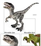 Charger l&#39;image dans la galerie, 7‘’ Realistic Velociraptor Dinosaur Solid Figure Model Toy Decor with Movable Jaw and Arm