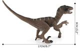 Charger l&#39;image dans la galerie, 7‘’ Realistic Velociraptor Dinosaur Solid Figure Model Toy Decor with Movable Jaw and Arm