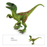 Charger l&#39;image dans la galerie, 7‘’ Realistic Velociraptor Dinosaur Solid Figure Model Toy Decor with Movable Jaw and Arm Green
