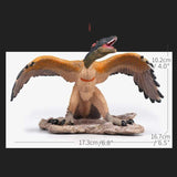 Charger l&#39;image dans la galerie, Archaeopteryx Ornaments Simulation Solid Wild Animal Dinosaur Model Figure Birds Dinosaur Archaeopteryx 02(Medium)